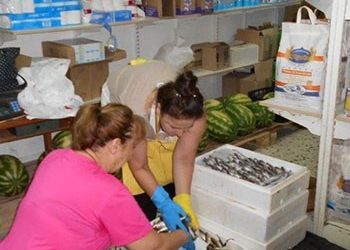 Νέα διανομή ψαριών από το Κοινωνικό Παντοπωλείο
