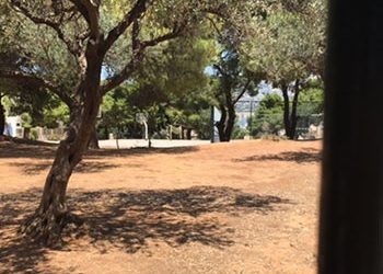 Εργολαβία καθαρισμού χώρων και οικοπέδων