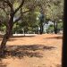 Εργολαβία καθαρισμού χώρων και οικοπέδων