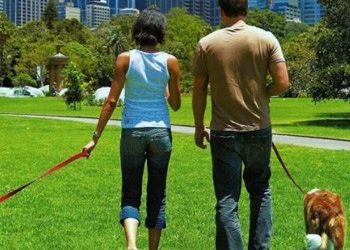 Τι πρόστιμο θα πληρώσετε εάν δεν μαζεύετε τις ακαθαρσίες του σκύλου σας