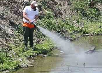 Συνεχίζονται οι ψεκασμοί για τα κουνούπια