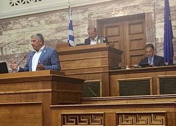 Στη Μόνιμη Επιτροπή Ελληνισμού Διασποράς στη Βουλή