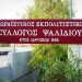 Παρατηρήσεις του Συλλόγου Ψαλιδίου στη λογοδοσία της διοίκησης Πατούλη