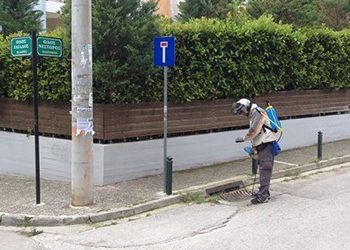 Πρόγραμμα Καταπολέμησης Κουνουπιών