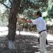 Έκκληση από το Σώμα Εθελοντών για τη Ρεματιά