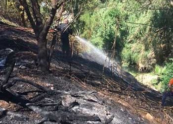Νέα φωτιά στον χώρο πέριξ του αμαξοστασίου της ΕΘΕΛ