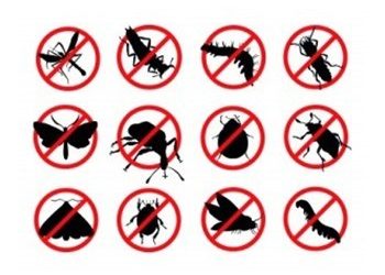 Εποχιακοί καθαρισμοί και απολυμάνσεις στον Δήμο Ηρακλείου