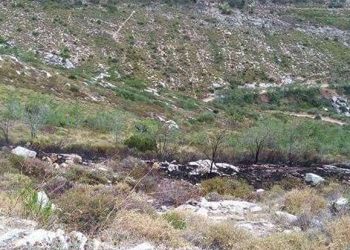 Άμεση επέμβαση του ΣΠΑΠ σε πυρκαγιά από κεραυνό στην Πεντέλη