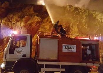 «Ο ΣΠΑΠ θα συμβάλει δυναμικά στην αναδάσωση των καμένων εκτάσεων»