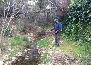 Καταπολέμηση Κουνουπιών