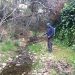 Καταπολέμηση Κουνουπιών