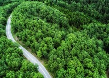 Τελευταία παράταση ως τις 25/9 για τους δασικούς χάρτες