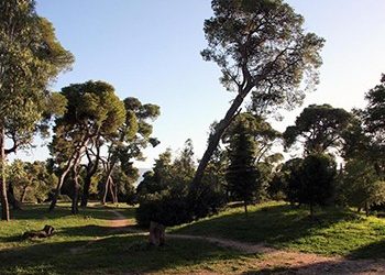 «Ο Δήμος έχει οφειλές προς το ΙΓΕ, αναμένουμε αποπληρωμή»