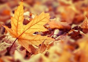 Ξεκινά η φθινοπωρινή ισημερία