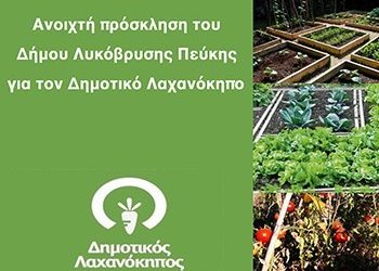 Δημοτικός Λαχανόκηπος: ‘Eως 29/9 η κατάθεση των αιτήσεων των ενδιαφερομένων