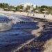 Γ. Πατούλης: «Να περιοριστεί η οικολογική καταστροφή»