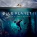 Blue Planet II: Το ντοκιμαντέρ του BBC Earth κάνει πρεμιέρα αποκλειστικά στην COSMOTE TV