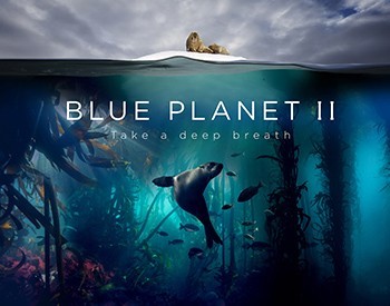 Blue Planet II: Το ντοκιμαντέρ του BBC Earth κάνει πρεμιέρα αποκλειστικά στην COSMOTE TV