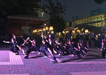 Αθλητικές επιδείξεις Πυγμαχίας