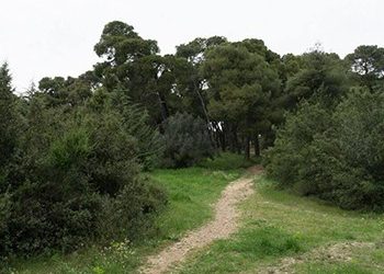 Συγγρου-σιακό κλίμα με νέα επίθεση του Δήμου Αμαρουσίου στο ΙΓΕ