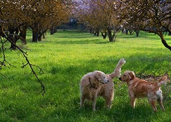 «Το ΙΓΕ δεν είναι έρμαιο ψηφοθηρικών σκοπιμοτήτων»