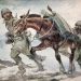«Εικόνες και μνήμες του ’40».