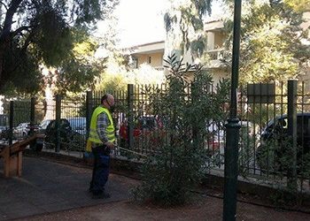 Νέα παρέμβαση για τα κουνούπια