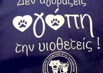 «Ας δείξουμε με πράξεις την αγάπη μας στα ζώα»