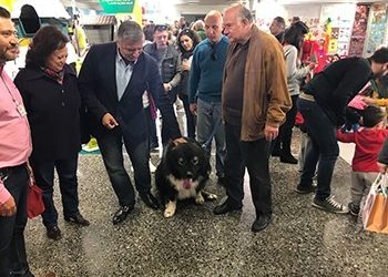 Στο φεστιβάλ «Discover Dogs» ο δήμαρχος Αμαρουσίου