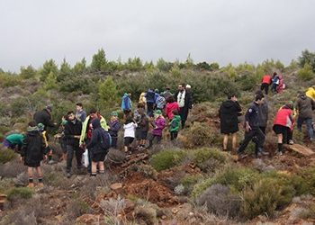 Με επιτυχία ολοκληρώθηκε η 4η Εθελοντική Δράση Αναδάσωσης του ΣΠΑΠ