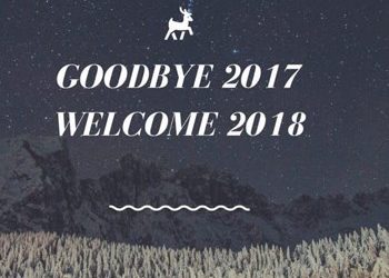 2017: «Ανώδυνη» ανασκόπηση