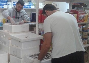 Νέα διανομή ψαριών από το Κοινωνικό Παντοπωλείο