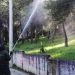 Ψεκασμοί πεύκων σε σχολεία και λόφο Τσακού