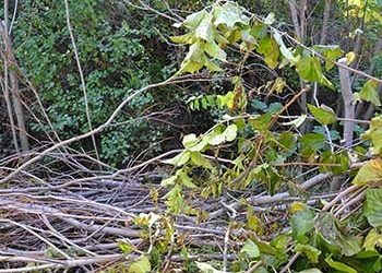 Δήμος προς Περιφέρεια: «Καθαρίστε τα ρέματα»