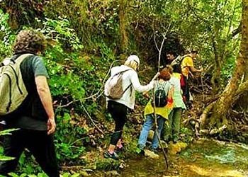 «Θωρακίστε τη ρεματιά»