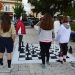 Νέα δράση του Συλλόγου «ΑΡΙΣΤΟΤΕΛΗΣ»