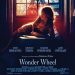 Wonder Wheel