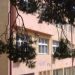 Γ. Σταθόπουλος: «Mε σεμνότητα και στα προβλήματα των σχολείων»
