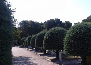 Έκθεση φωτογραφίας - Παρουσίαση του Κοιμητηρίου Κηφισιάς