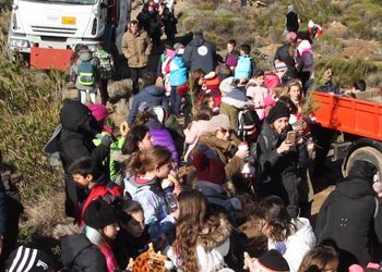 Άκρως επιτυχημένη η πρώτη αναδάσωση για το 2018 από τον ΣΠΑΠ