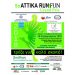 5οΑΤΤΙΚΑ RUN &FUN Grand Prix στον Δήμο Λυκόβρυσης- Πεύκης