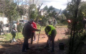 Επιτυχημένη δεντροφύτευση στο Κεφαλάρι