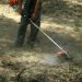 «Ξαναδίνουν σε ιδιώτη τον καθαρισμό των οικοπέδων»