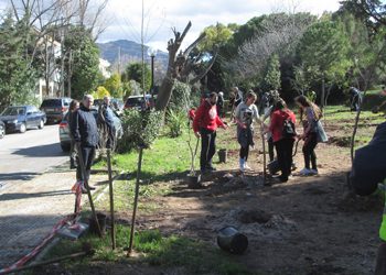 Ο Πρόεδρος του ΣΠΑΠ σε Δράση Εθελοντικής Δενδροφύτευσης