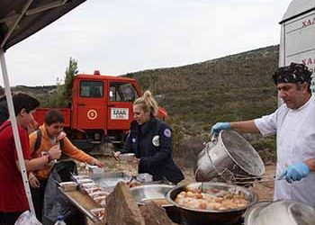 Ο καιρός βοήθησε, η μαθητική αναδάσωση έγινε