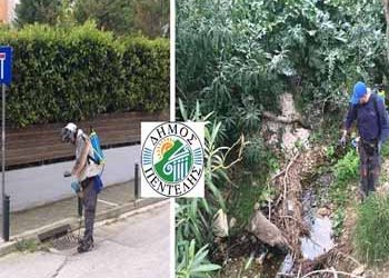 Πρόγραμμα Καταπολέμησης Κουνουπιών