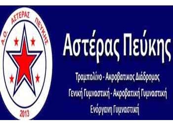 «Η επιτυχία εξυψώνει τον Πευκιώτικο αθλητισμό»