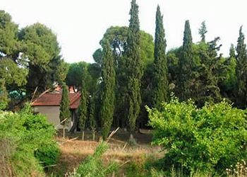 Κίνηση Πολιτών Λυκόβρυσης: Πρωτομαγιά στην Πύρνα
