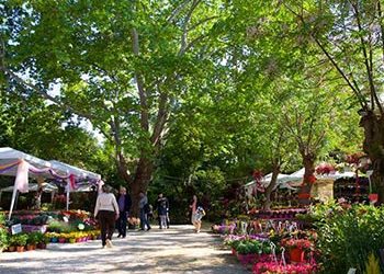 Το Άλσος ετοιμάζεται για την 64η Ανθοκομική