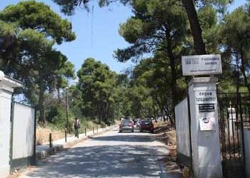 Δημήτρης Στεργίου-Καψάλης «Άπαξ δάσος, δια βίου δάσος»